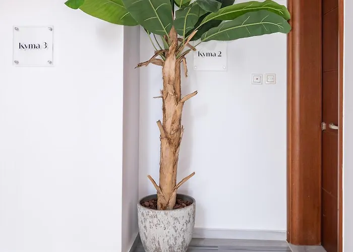 Апартаменты Aeolos Loft - 3 Min Walk To Beach & Town *